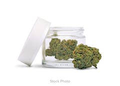 Representative flower buds and jar